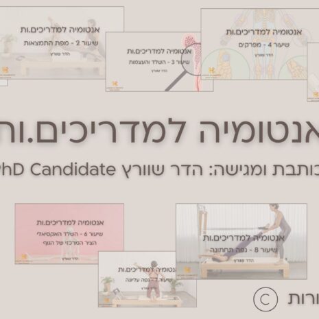 אנטומיה - היכרות עם הקורס