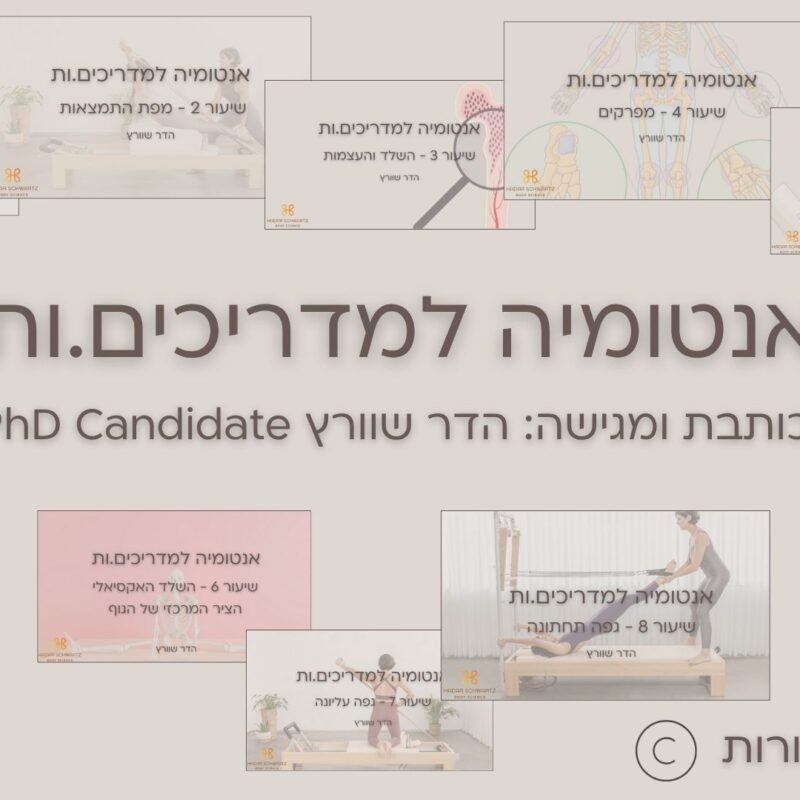 אנטומיה למדריכות/ים